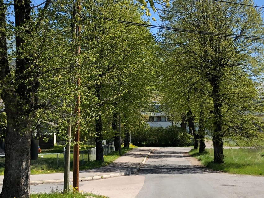 Bevar Flyverbyen på Kjeller